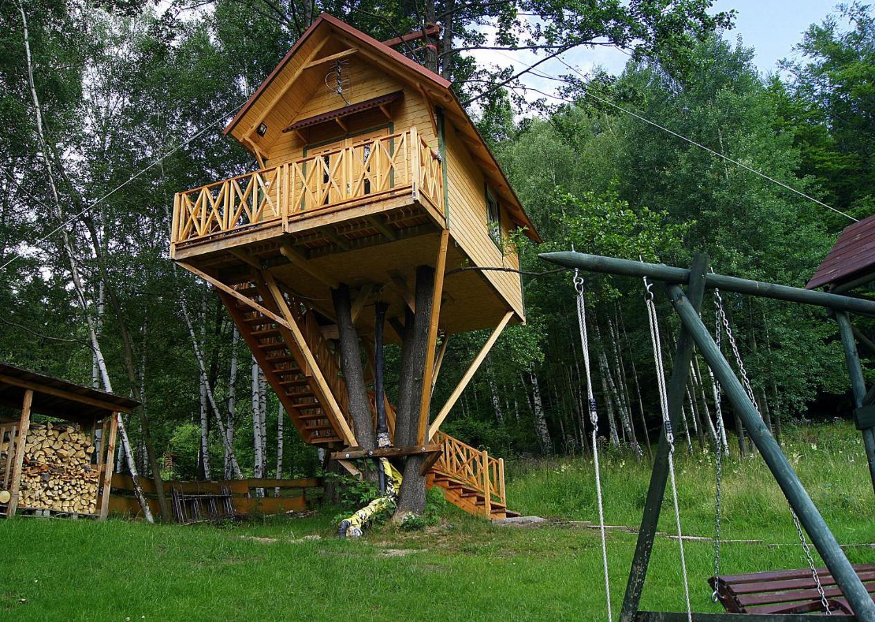 Lodge Grzywaczowka