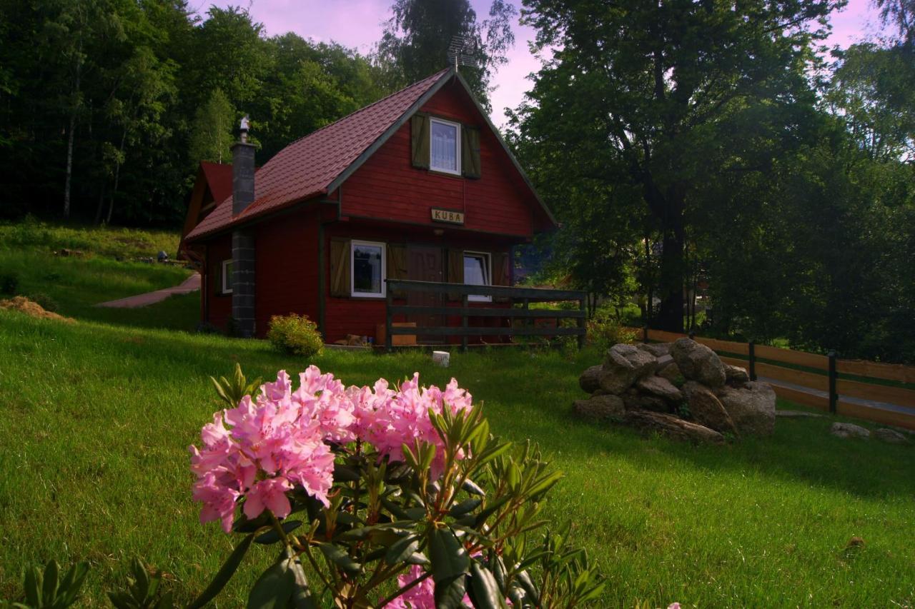 Lodge Grzywaczowka Przesieka