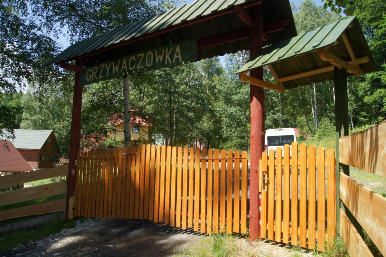 Grzywaczowka Lodge