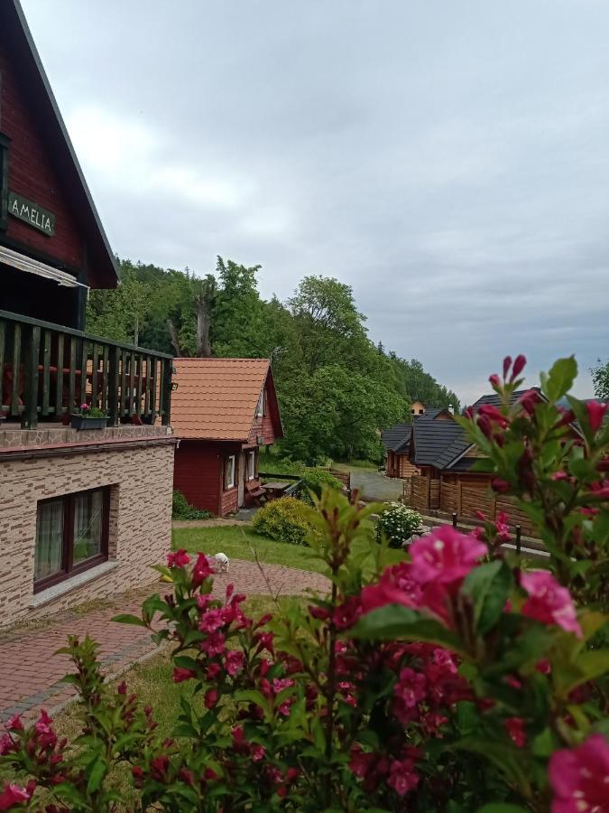Grzywaczowka * Przesieka