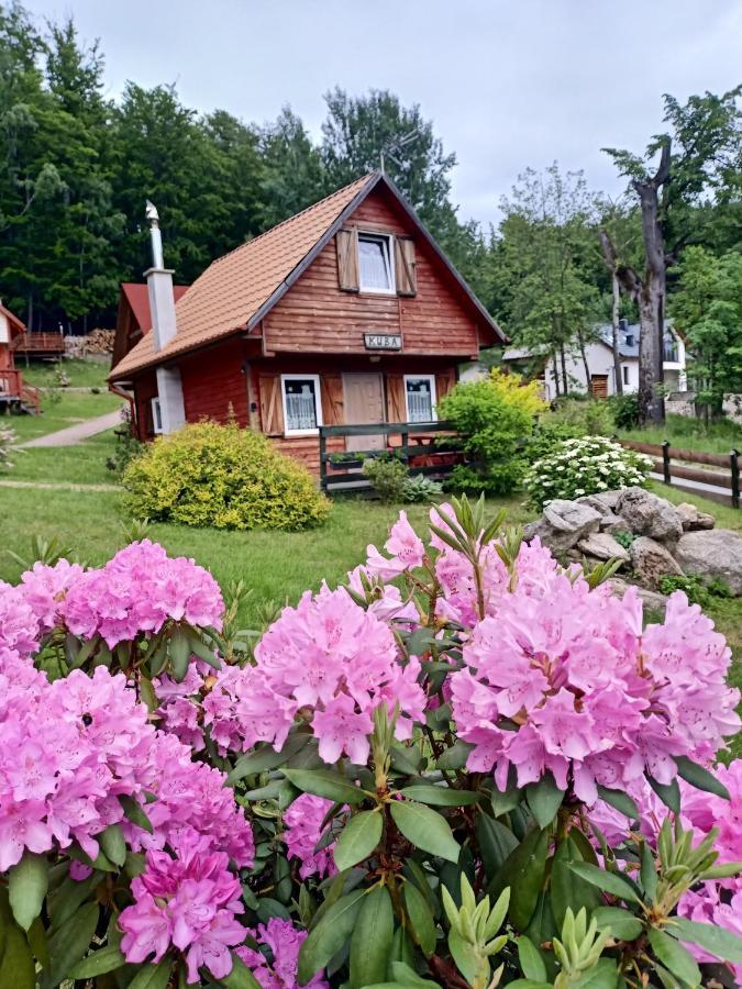 Grzywaczowka *