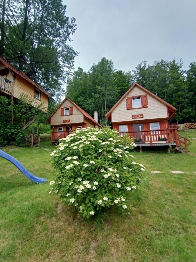 Grzywaczowka Lodge