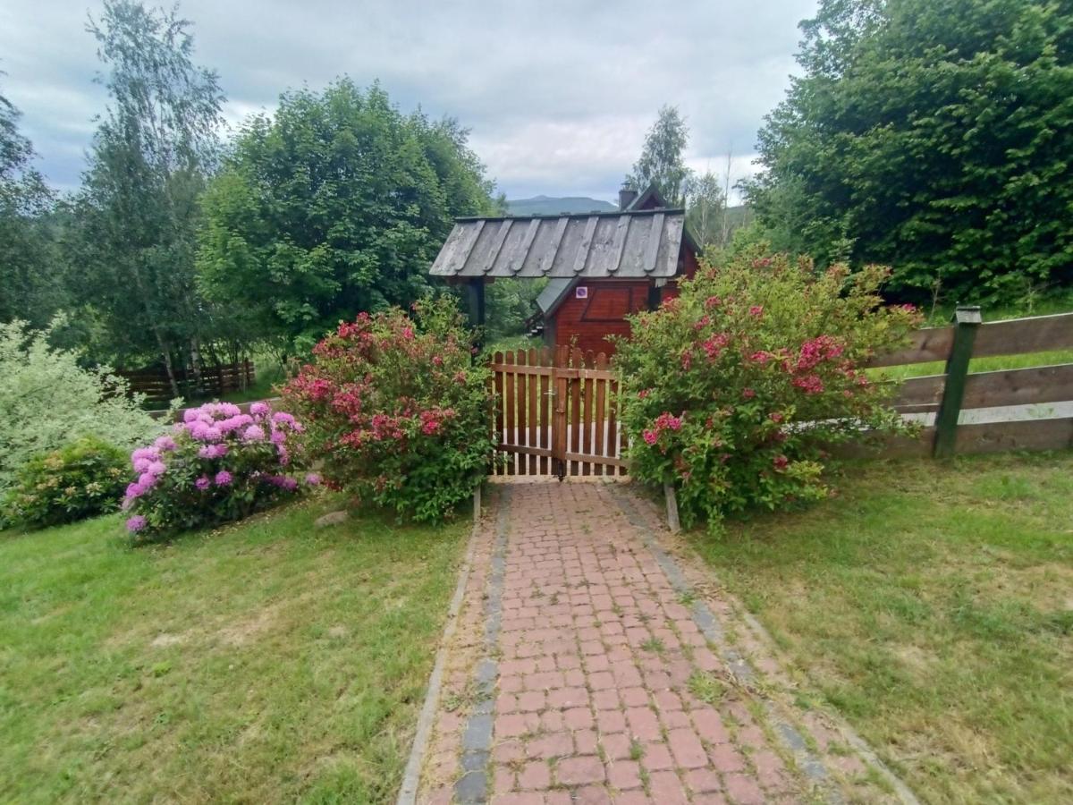Lodge Grzywaczowka Przesieka